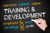Training and Development1